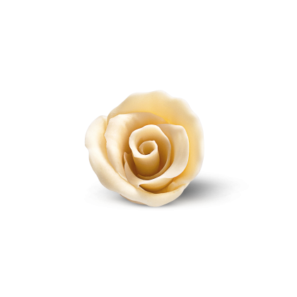 Decoración de rosa de azúcar o fondant color crema sobre fondo blanco