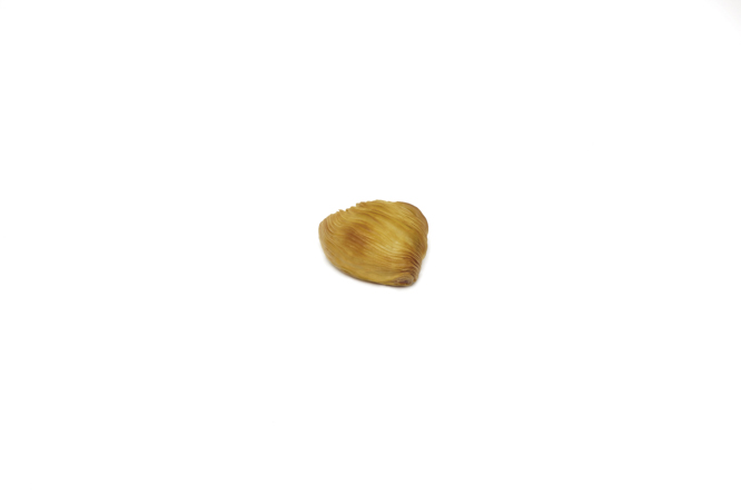 sfogliatella classica mignon