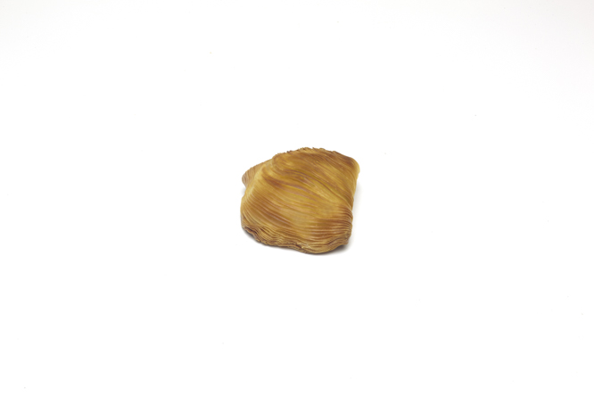 sfogliatella classica riccia